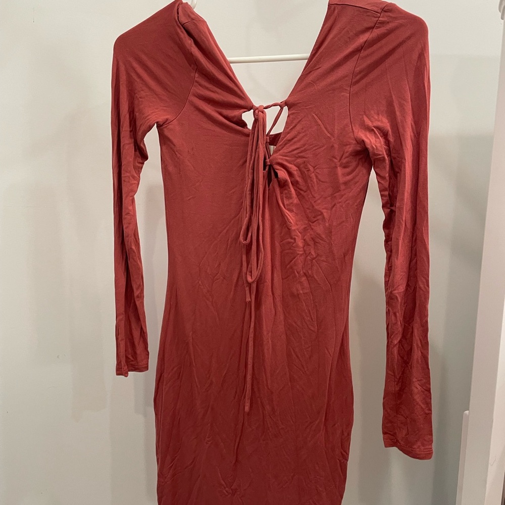 Chic Long Sleeve Rust Dress